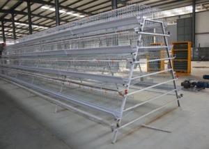 China 3 Tiers Pakistan Livestock Farming Equipment 96 Birds Egg Laying Hens wholesale