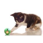 Flashing Light ABS EVA Cute Pet Toys Interactive Rolling Ball Hollow Sound
