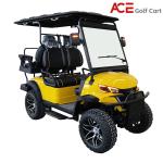 Small 4 Seaters Electric Golf Club Car 30km/h Mini Sightseeing Car