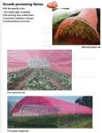 Weed Control Mulch Film, Agriculture Vegetable Black PE Films, 5 Holes