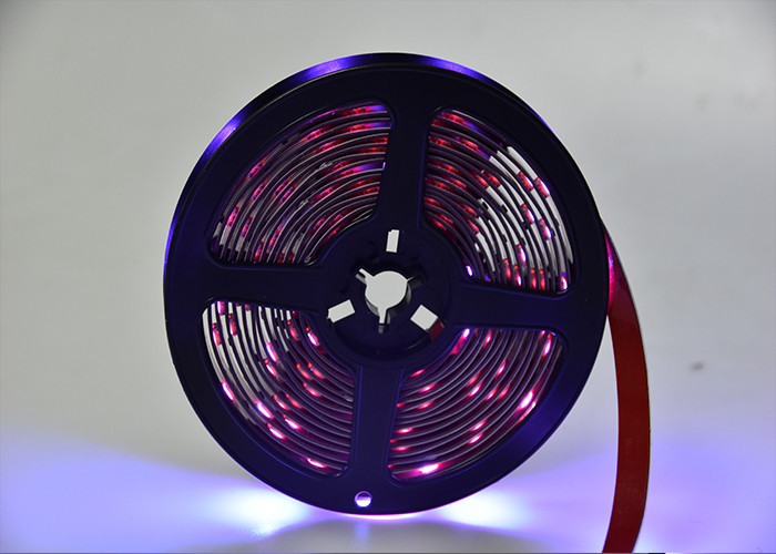 Programmable 12V 5m 30LEDs/M Led Bluetooth Strip Lights