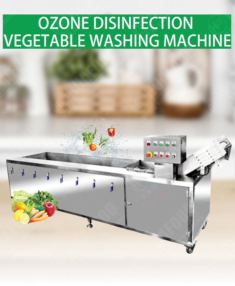 Business Industrial Use Oranges Vegetable Washing Machine Bubble Water Pump