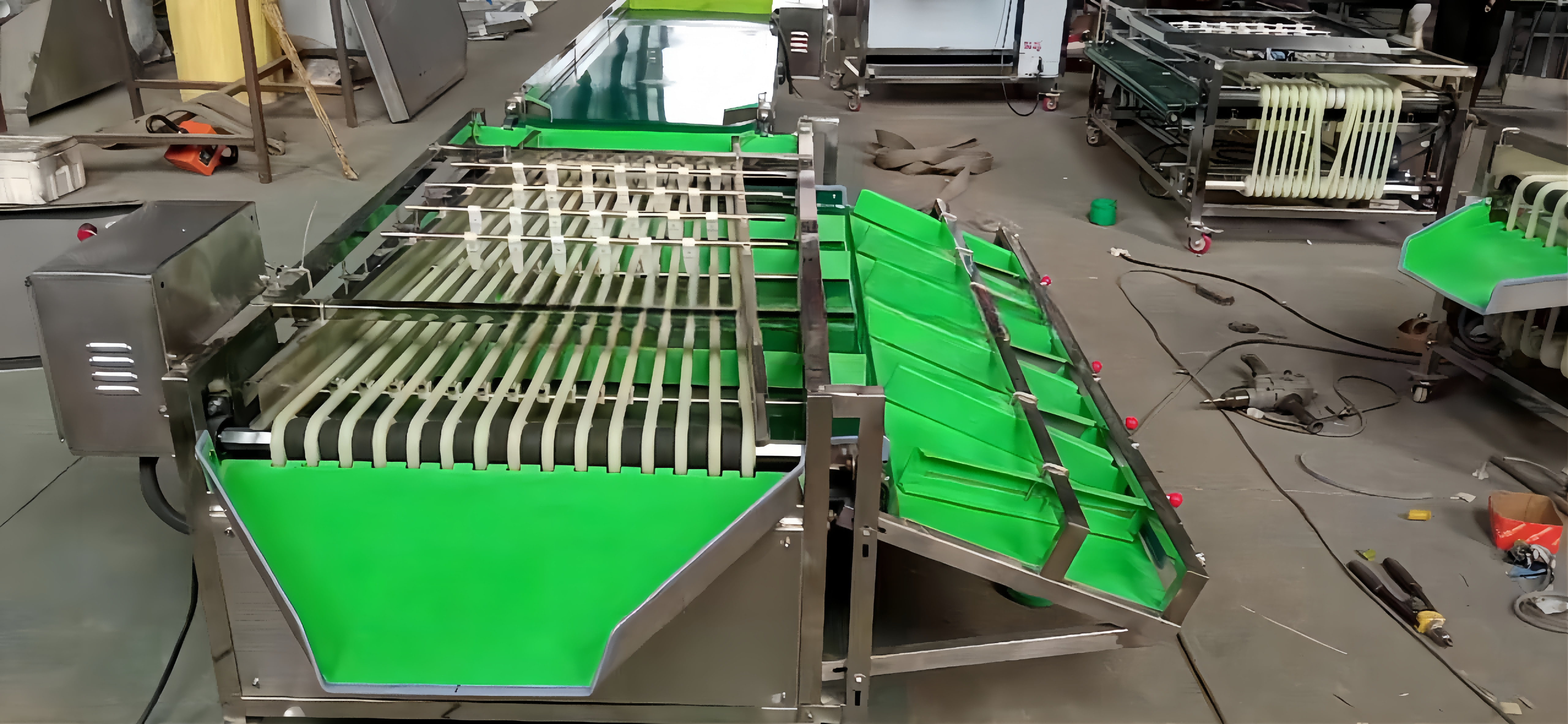 220V Automatic Fruit Size Grader For Fruit Vegetable Processing Machine At Affordable