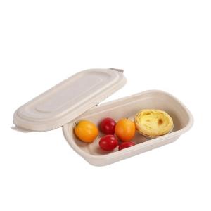 China 850ml Compostable Sugarcane Bagasse Takeaway Eco Friendly Disposable Lunch Boxes wholesale