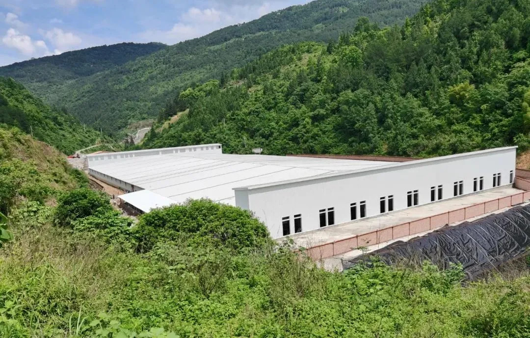 PVC Ventilating Livestock Farm Equipment Automatic Galvanized Steel