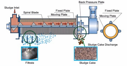 Customizable Carbon Steel WWTP STP Sludge Dewatering Screw Press for Sludge Treatment