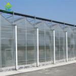 Multispan PC Sheet Greenhouse