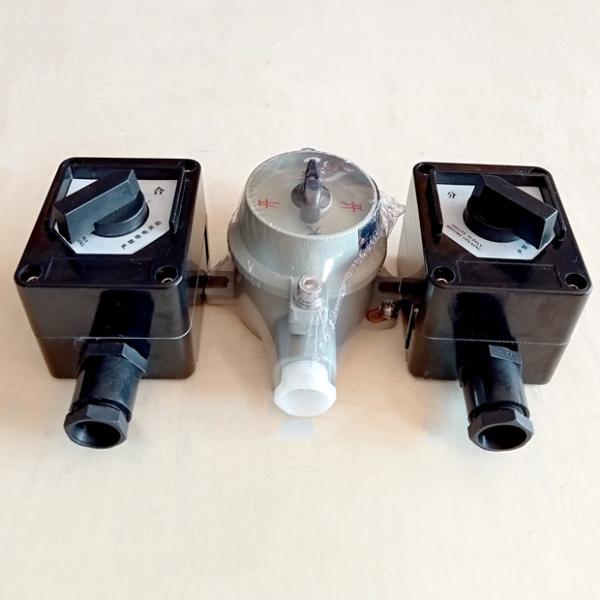 Quality Flame Explosion Proof Light Switches 2 Position Selector 220VAC GRP for sale