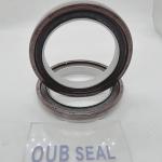 BZ5241-E 1-09625576-0 Oil Seal Kits 114*81*13