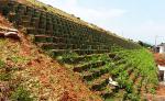 Surface Pea Gravel Stabilizer Grid Geocell Lattice 100% Virgin HDPE