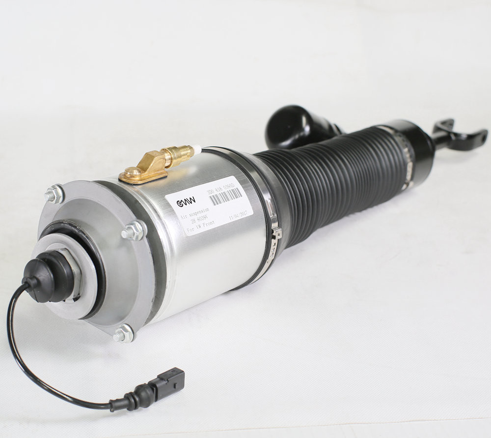 Front Volkwagen Struts Suspension Replacement Fit Phaeton 3W0616039D