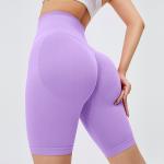 Seamless Yoga Workout Leggings Ladies High Waist Fitness Short Pants Cool