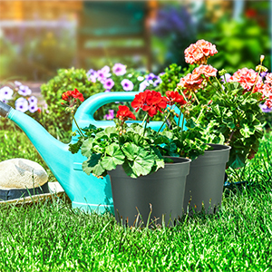 Plants With Drainage Hydroponic Growing Pot Bucket For Greenhouse, Dutch Bucket, Flower Nursery Pots, Balcony Garden