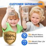 0V NSF42 DA29-00003F Chlorine Carbon Refrigerator Water Filter Cartridge