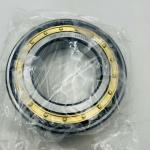 Cylindrical Roller Bearing N218 ECM ， N219 ECM