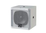 100W RMS Full Range Speaker