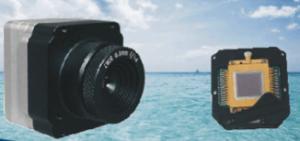 China Lwir Uncooled Thermal Imaging Module 35mm × 35mm × 35mm High Sensitivity wholesale