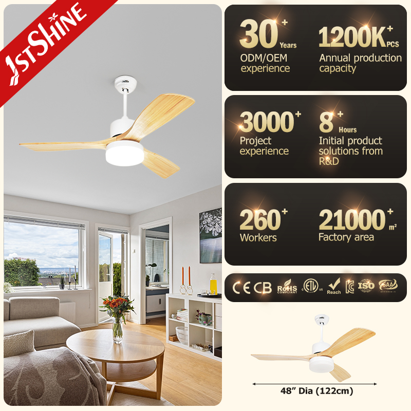 ceiling fan