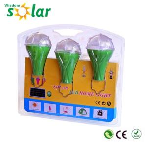 China Economy competitive solar home lighting system with 3 LED bulbs for Lighting Africa wholesale