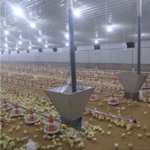 China 50 Broiler Chicken Fully Automatic Pan Feeding System wholesale