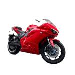 Max Load 200kg 2000W 3000W Electric Motorcycle Racing Dirt Bike for Adult Off