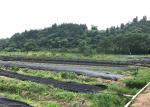 300gsm Agriculture Non Woven Fabric ISO9001 For Gardening