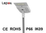 High Power Outdoor LED Street Lights Solar Lamp LED Bridgelux DC 12V Battery