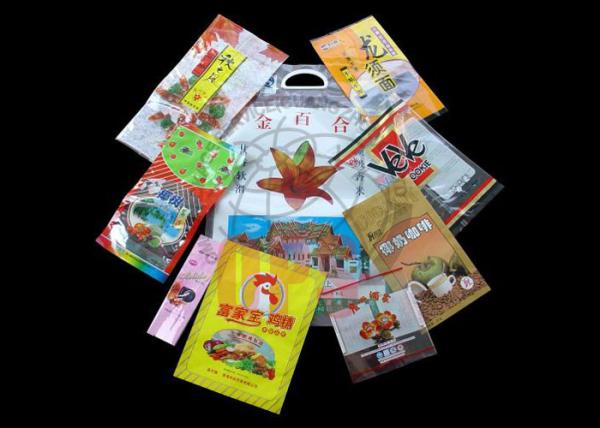 Quality Back Seal Flexible Food Packaging With Zipper And Handhold for sale