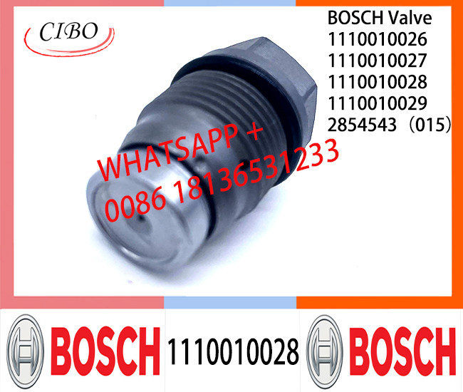 Pressure relief valve 1110010026 1110010027 1110010028 1110010029 2854543（015）1110010009 1110010010 1110010011