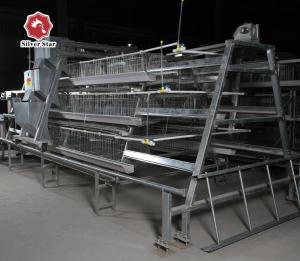 China Silver Battery Baby Chicken Metal Cage Manure Cleaning For Farm wholesale