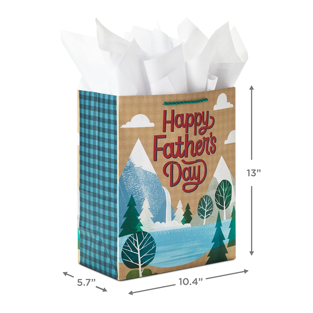 CMYK 4 Color Offset Printing Custom Colored Organic Eco Luxury Gift Paper Shopping Bags