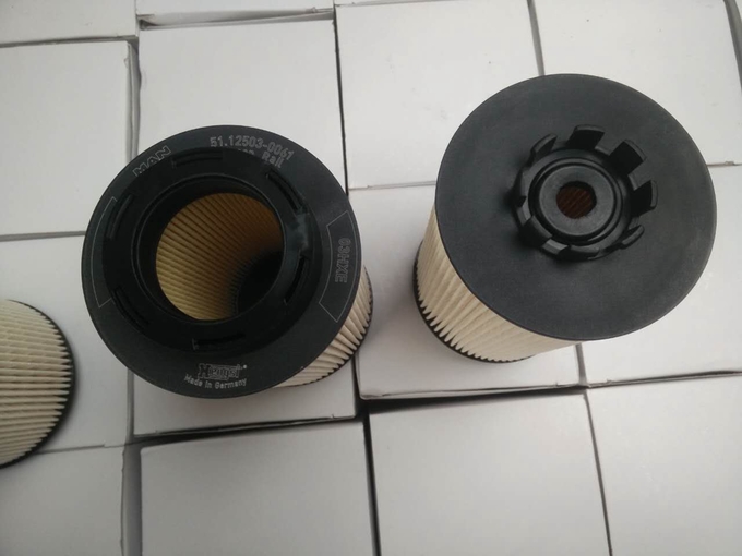15*15*28cm 1kg Truck Diesel Filter 12503-0061 Lion Diesel Filter 0