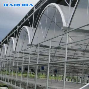 China Agricultural Shed Large Polycarbonate Sheet Greenhouse Steel Pipe Light Material wholesale