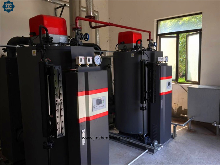 500kg/Hr Small Low Pressure Vertical Oil Gas Water Tube Steam Boiler Steam Generator Price