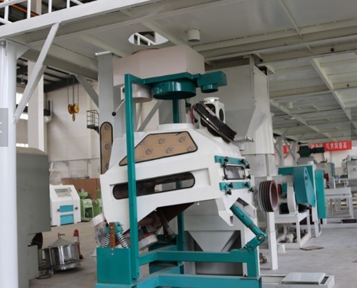 4-6T/H Rice wheat destoner machine In Food Processing Plants