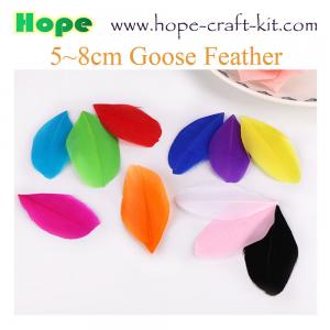 China Various size of goose feathers, turkey feathers, chicken feathers, peacock , ostrich feathers for hobbies and kids DIY wholesale