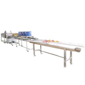 China Peach Cleaning Drying Machine Vegetable Cutter And Washing Machine Line wholesale