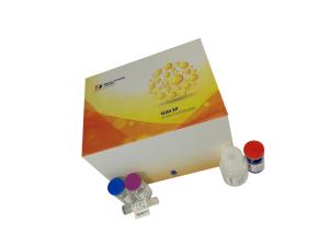 China Strong Specificity Mouse Vegf Elisa Kit 96 Wells / 48 Wells 2 - 8°c For Storage wholesale