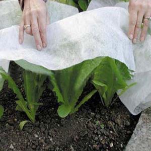 China Landscape 20gsm Non Woven Plastic Mulching Film wholesale