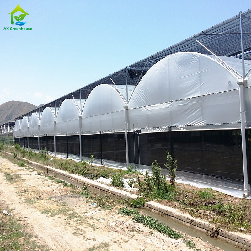 Steel Tructure Agricultural Poly Tunnel Black Shading Multi-span Greenhouse with Optional Cooling System