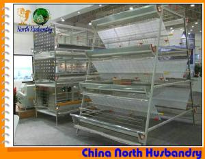 China Commercial Layer Cages, Layer Cage, Poultry Cage wholesale