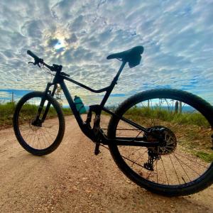 China No Foldable Complete Mountain Bikes 11Speed 29er Disc Brake Carbon Fiber MTB Bike wholesale