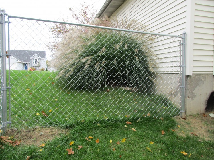 Steel Wire Galvanized 9ga 8 Ft High Chain Link Fence For Residential