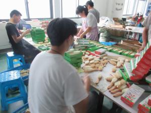 China Comb Pre Shipment Inspection Services AQL Quality Inspection wholesale