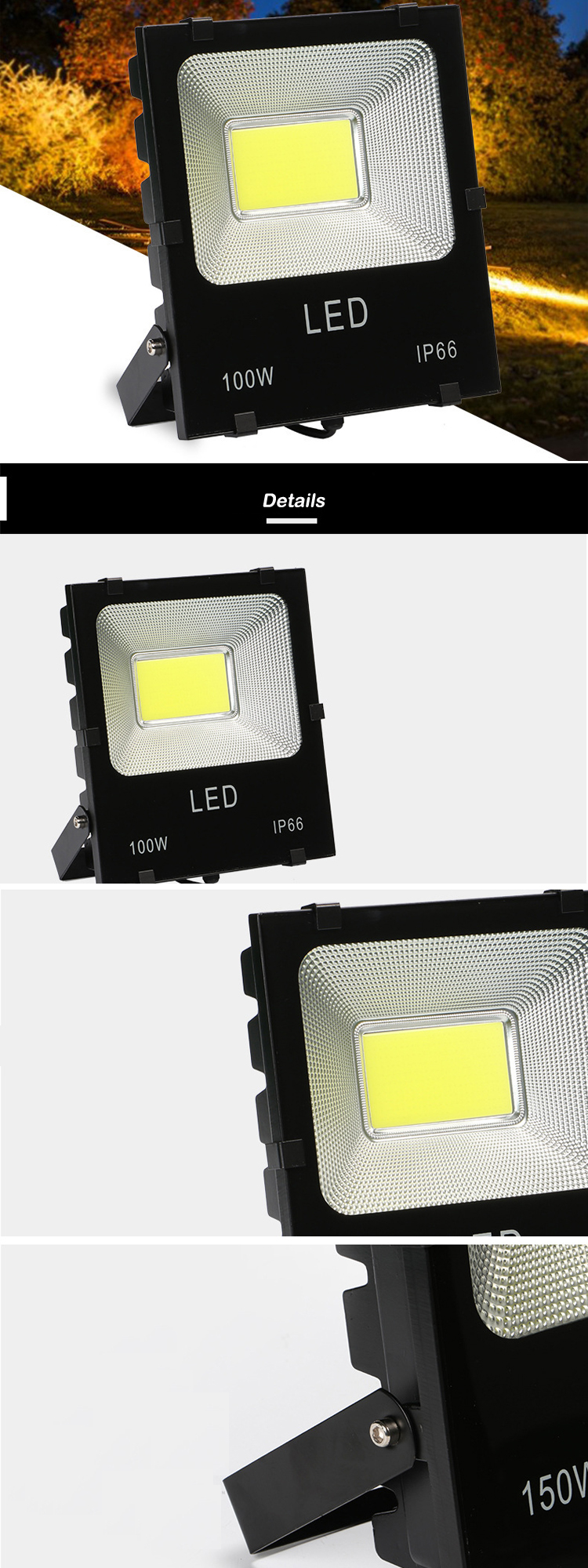 Ac Dc 12V 24V Outdoor LED Flood Lights , Water Resisitant Cob LED Flood Light