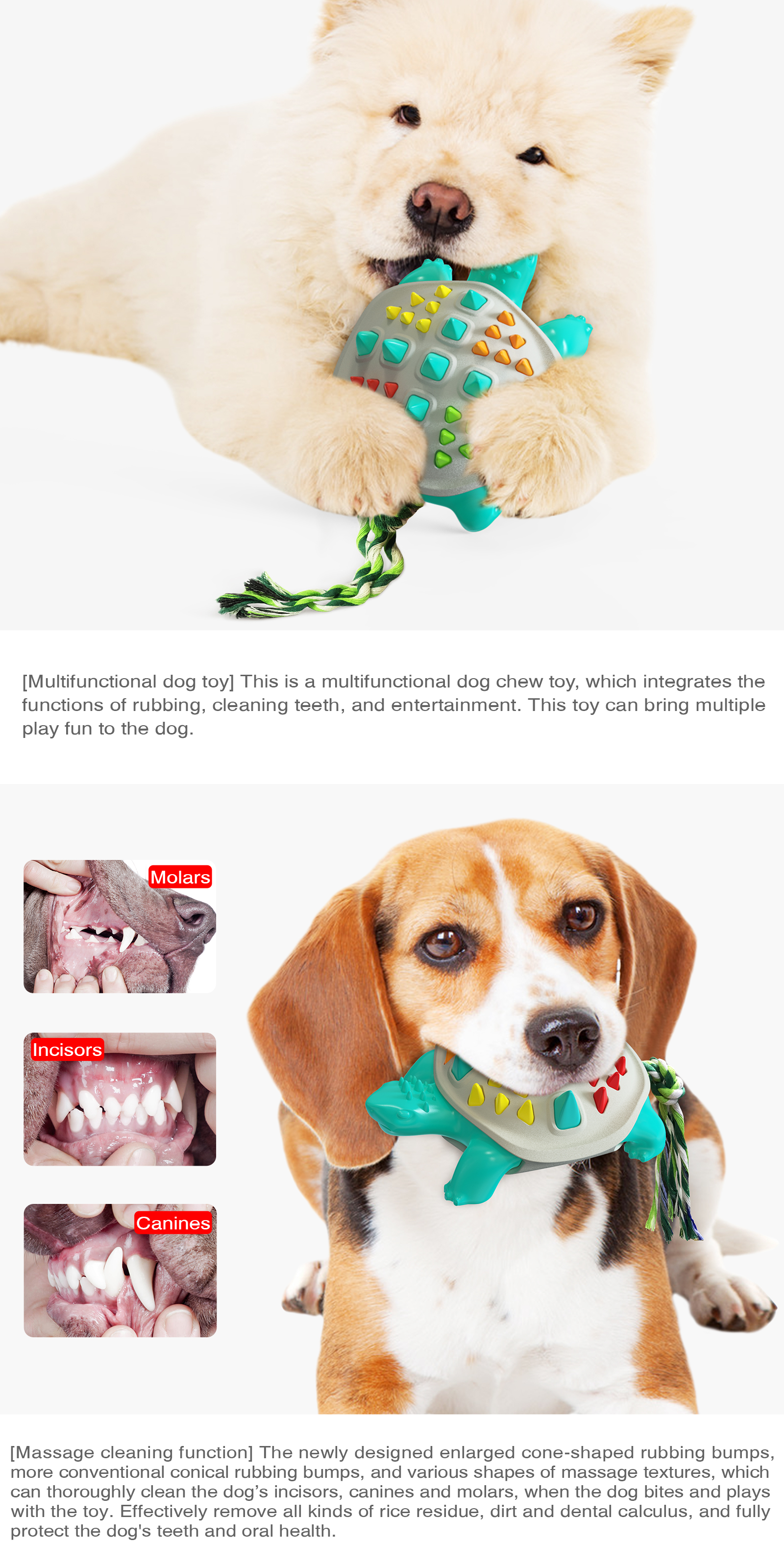 Manufacturers Sell Well Colorful Turtle Dog Cleaning Teeth Toy Pet Toys Dog Chew Toy