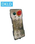 Ten-way dual speed switch industrial remote control