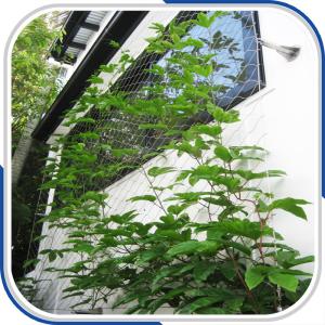 China architectural 316L stainless steel rope mesh plant trellis wholesale