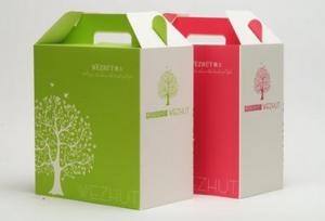 China Food delivery box flexo pritning environment protection competitive price wholesale