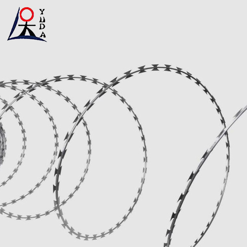 Razor Barbed Wire Prisons Security Fencing Cheap Razor Fence